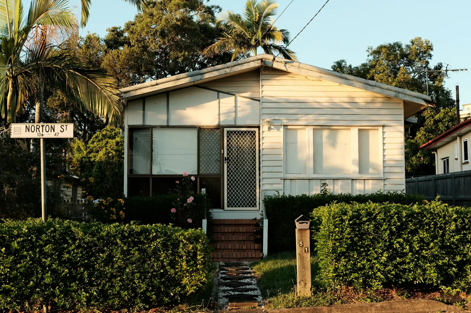 Front exterior of a low set timber weatherboard cottage with a gable roof, palm trees and a hedged front garden